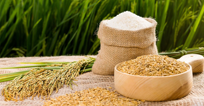 Giá xuất khẩu gạo Việt Nam tăng lên mức cao do nhu cầu mạnh mẽ từ Philippines và Malaysia. Ảnh: T.L