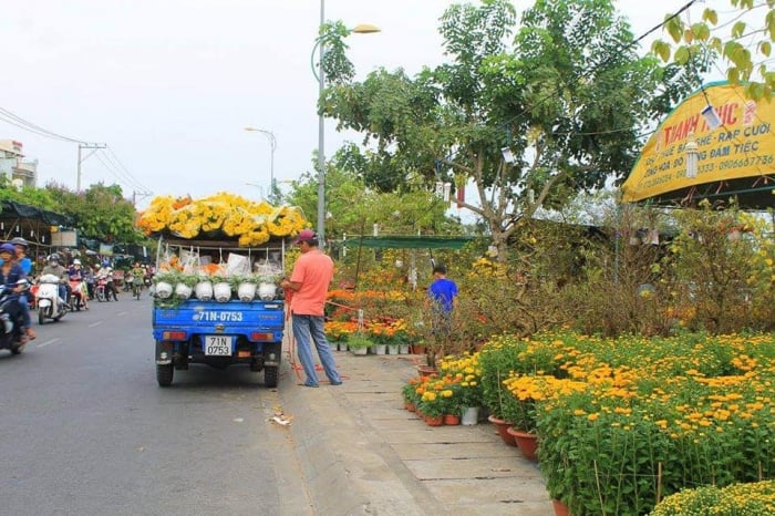 Hoa Tết chuẩn bị được lên thành phố và các tỉnh thành. Ảnh HĐV