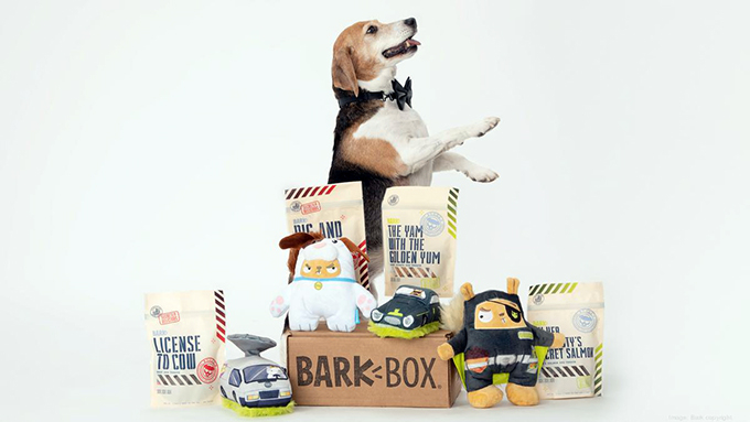 Chính Bark & Co. đã mở ra một thị trường mới để một số công ty đồng hành như họ cũng thành công. ẢNH KICKSTARTSER