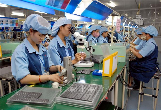 Công nhân sản xuất linh kiện điện tử tại Nhà máy Canon có vốn đầu tư Nhật Bản thuộc Khu Công nghiệp Phố Nối A, Hưng Yên. Ảnh minh họa: Phạm Kiên/TTXVN