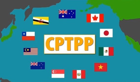 Việc CPTPP có hiệu lực từ năm 2019 đã góp phần thúc đẩy xuất khẩu của Việt Nam sang các thị trường đối tác. Ảnh: T.L