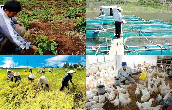 Bộ NN-PTNT kiến nghị hàng loạt chính sách, giải pháp hỗ trợ ngành nông nghiệp trong Covid-19. Ảnh: TL.