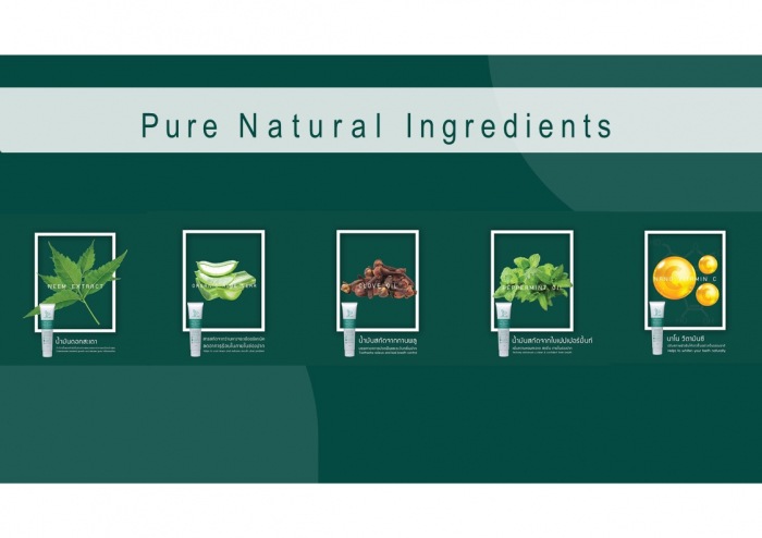 Các dòng sản phẩm Kem đánh răng Pennganic có chiết xuất từ các nguyên liệu tự nhiên như mật ong, quế, tinh dầu bạc hà, tinh dầu đinh hương. Ảnh: TL.