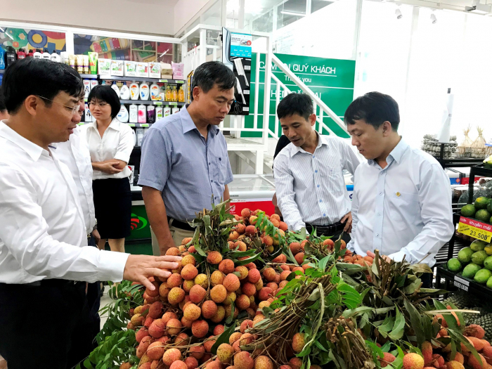 Diện tích vải toàn tỉnh Bắc Giang năm 2021 là 28.100 ha, sản lượng ước đạt 180.000 tấn. Ảnh TL.