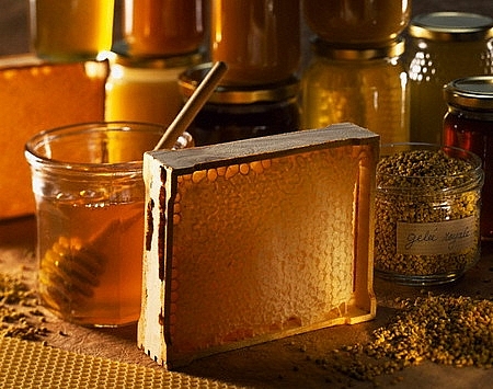 Lần đầu tiên sản phẩm mật ong xuất khẩu của Việt Nam bị điều tra phòng vệ thương mại. Ảnh: T.L.