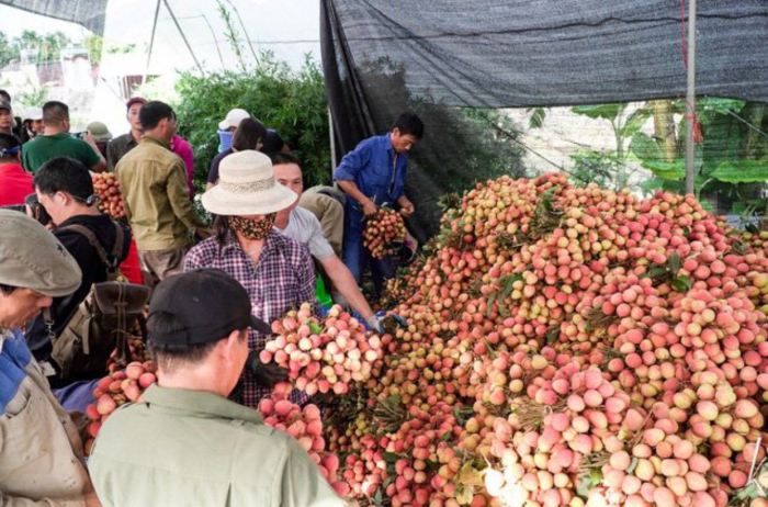 Tính đến thời điểm hiện tại, F99 đã thực hiện được 7 chiến dịch hỗ trợ tiêu thụ trái cây nông sản với sản lượng hàng chục tấn. Ảnh: TL.