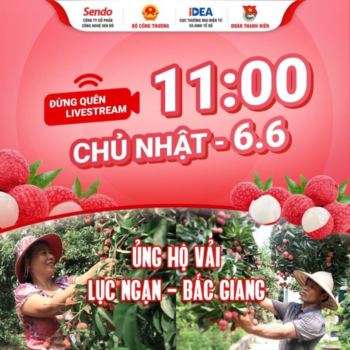 Người dân Bắc Giang được hỗ trợ thực hành livestream bán vải từ 6/6 đến 10/6 và được hỗ trợ tiêu thụ trên các sàn thương mại điện tử. Ảnh: T.L.
