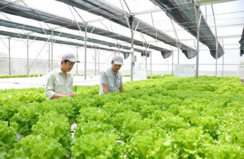 Hỗ trợ các doanh nghiệp công nghệ nông nghiệp triển vọng trên toàn cầu tiếp cận thị trường Việt Nam, đưa công nghệ vào ứng dụng thực tiễn và giải quyết những thách thức cấp bách nhất của ngành nông nghiệp. Ảnh: TL.