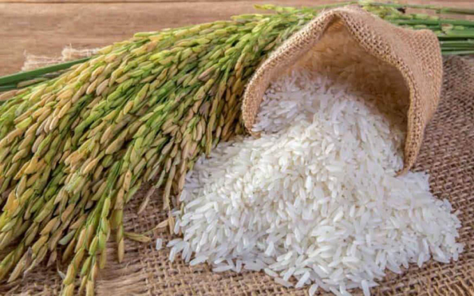Phó Thủ tướng Lê Minh Khái vừa ký các quyết định xuất cấp gạo, nhà bạt, máy phát điện từ nguồn dự trữ quốc gia cho các tỉnh Gia Lai, Bình Phước, Sóc Trăng. Ảnh: T.L