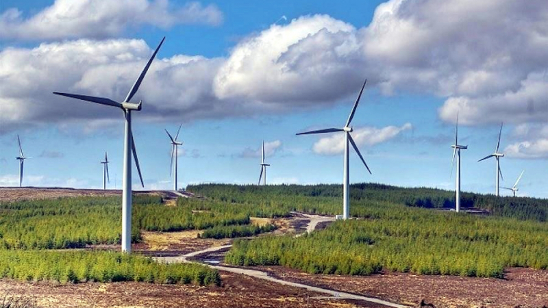 Các nhà máy điện gió cần được công nhận vận hành thương mại trước thời điểm 31/10/2021.

