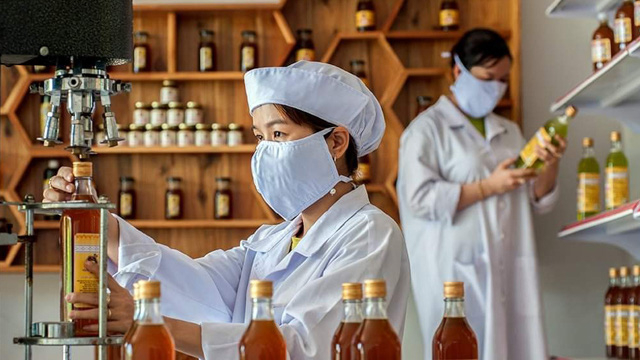 Doanh nghiệp, cơ quan chức năng Việt Nam đang nỗ lực cung cấp bằng chứng cho phía Hoa Kỳ để chứng minh mật ong Việt Nam không bán phá giá vào thị trường này. Ảnh: T.L.