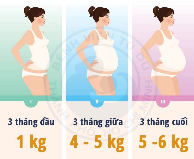 Với tình trạng dinh dưỡng bình thường (BMI: 18,5 – 24,9) mức tăng cân của người mẹ trong thai kỳ nên đạt là 10 – 12 kg. Ảnh: TL.