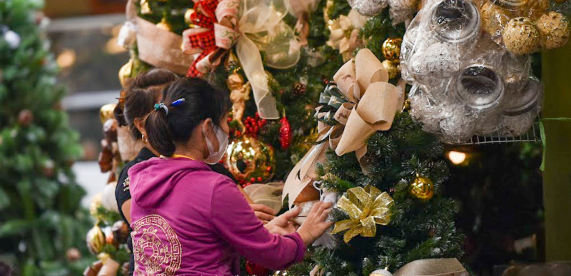 Cây thông Noel với đủ loại kích cỡ được bày bán rất nhiều ở phố Hàng Mã.