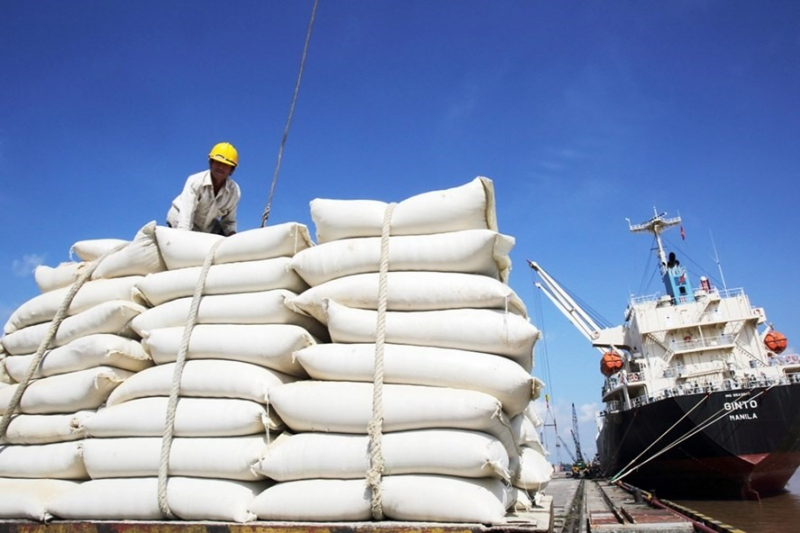 Cước vận tải biển tăng cao sẽ giảm lợi thế của gạo xuất khẩu Việt Nam so với các nước đối thủ. Ảnh: T.L.