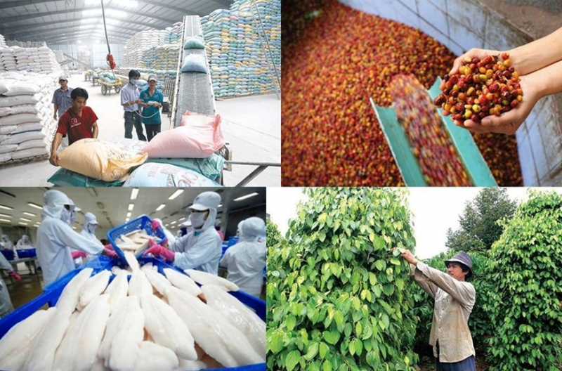 Khoác lớp áo thương hiệu giúp nông sản Việt tăng nhanh giá trị từ 20-100%. Song số  lượng sản  phẩm đạt chuẩn này còn rất khiêm tốn so với tiềm năng của ngành nông nghệp. Ảnh: TL.