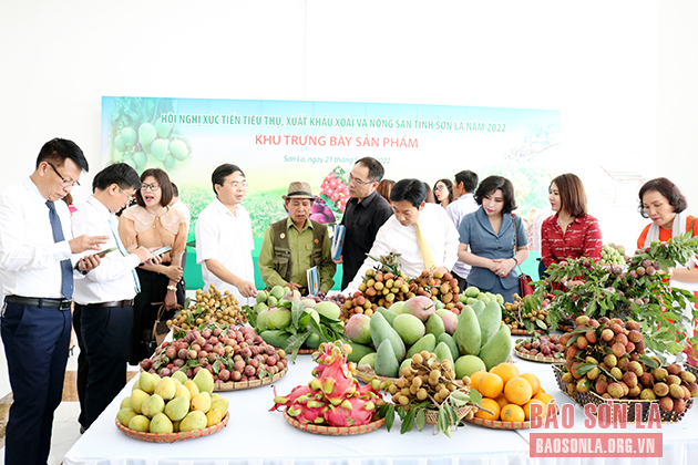Nhãn chín sớm Sông Mã được trưng bày tại Hội nghị xúc tiến tiêu thụ xoài và nông sản tỉnh Sơn La năm 2022.