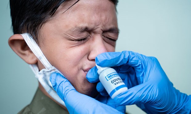 Australia phát triển một loại vaccine dạng nhỏ mũi, có thể giúp cơ thể tăng cường khả năng bảo vệ trước virus gây bệnh Covid-19.