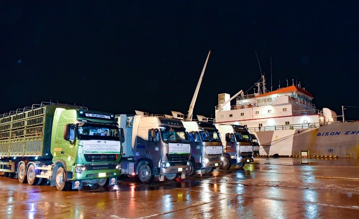 Đoàn xe 35 chiếc đón 1.000 bò sữa thuần chủng HF từ cảng quốc tế Nghi Sơn (Thanh Hóa) và di chuyển về cửa khẩu Nậm Cắn ngay trong đêm
