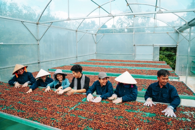 Đổi mới ngay từ cách sản xuất, thu mua sẽ giúp tăng giá trị cho hạt cà phê Việt Nam. Ảnh: T.L.