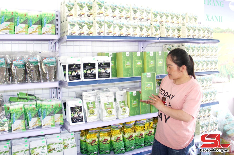 Các sản phẩm chè OCOP 4 sao của Công ty cổ phần Chè Chiềng Đi, huyện Vân Hồ