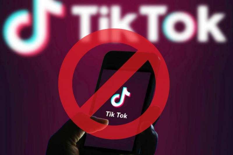 Án phạt với TikTok lan rộng ở nhiều quốc gia, hiện là các nước ở Đông Nam Á. Ảnh: T.L.