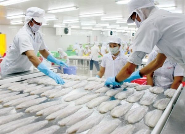 Doanh nghiệp Việt Nam đang có cơ hội lớn để thúc đẩy xuất khẩu thuỷ hải sản vào Singapore. Ảnh: T.L.