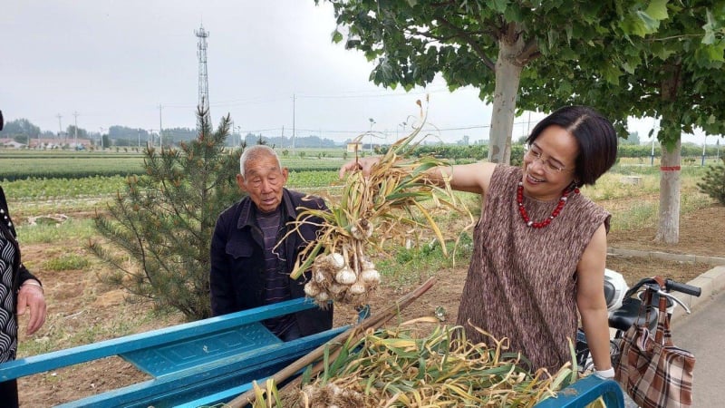 Chị Nguyễn Thị Lan Hương, Chủ tịch DAA Việt Nam trong chuyến thăm thành phố nông nghiệp CNC Duy Phường TQ. Ảnh: NVCC