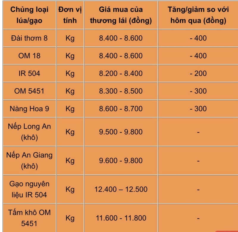 Bảng giá lúa gạo hôm nay ngày 23/2/2024