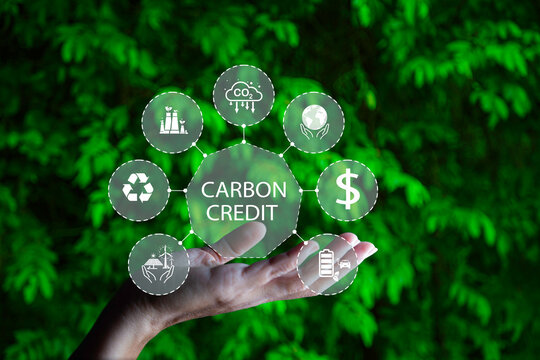 Giá tín chỉ carbon phụ thuộc vào cơ chế thị trường và chất lượng của các dự án giảm phát thải. Ảnh: T.L.