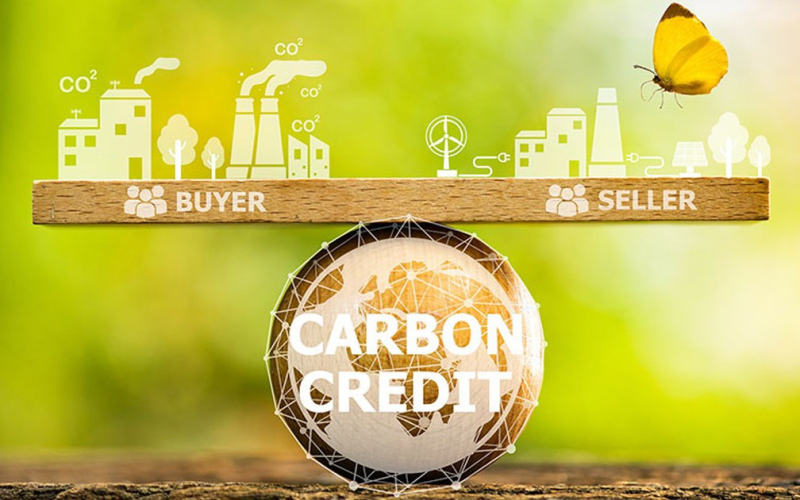 Thị trường tín chỉ carbon sẽ ngày càng sôi động khi càng có thêm nhiều nước áp thuế carbon với hàng hóa nhập khẩu. Ảnh: T.L.