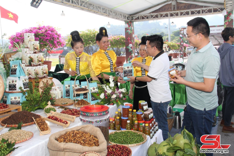 Gian hàng trưng bày sản phẩm nông sản an toàn của Thành phố tại Lễ hội cà phê Sơn La