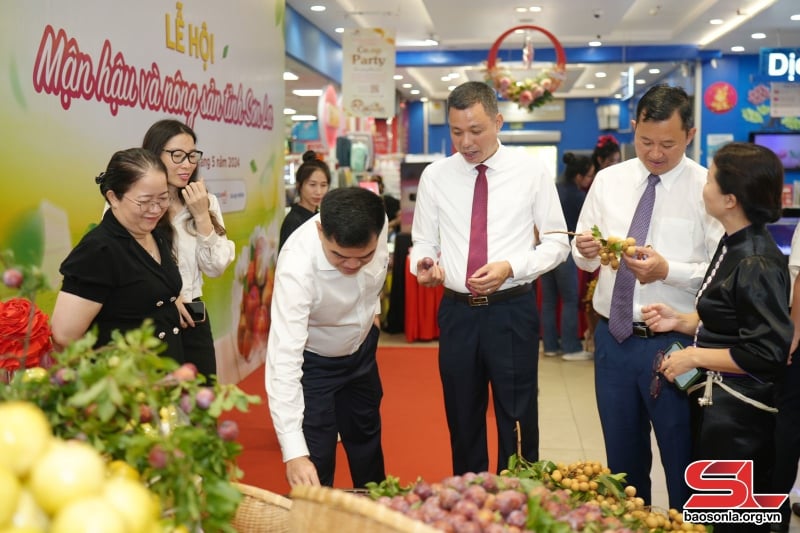 Đồng chí Nguyễn Thành Công, Phó Chủ tịch UBND tỉnh và các đại biểu tham quan gian hàng nông sản Sơn La tại Thành phố Hồ Chí Minh