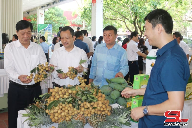 Các đại biểu thăm quan gian hàng trưng bày sản phẩm nông sản của huyện Sông Mã tại Hội nghị nông dân đối thoại với doanh nghiệp, HTX hỗ trợ tiêu thụ nông sản.