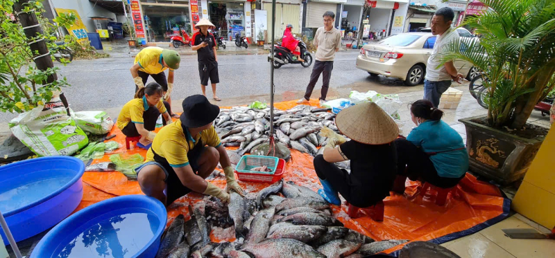 Hội Doanh nhân trẻ Quảng Ninh hỗ trợ bà con tiêu thụ thuỷ hải sản.