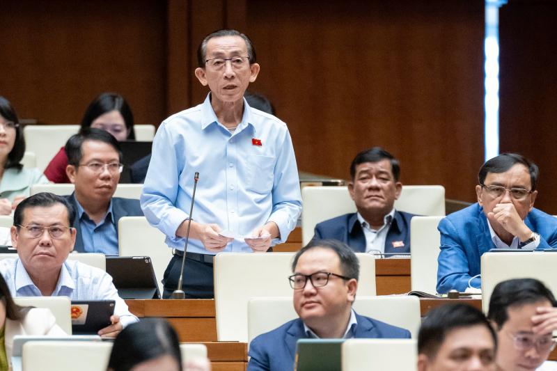 Đại biểu Trần Hoàng Ngân (Đoàn ĐBQH TP. Hồ Chí Minh).