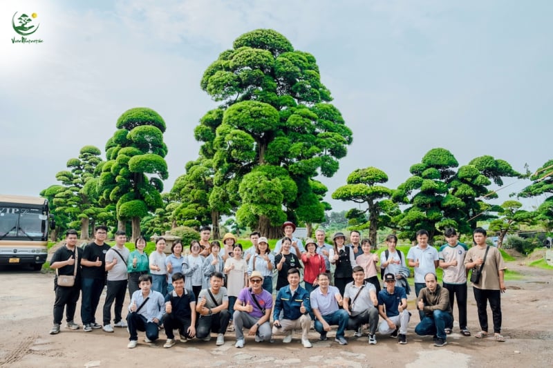 Vườn Nhật Thanh Tùng Cát Tường hợp tác cùng Học viện Nông Nghiệp