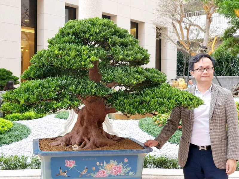 Doanh nhân, Nghệ nhân bonsai Đinh Vĩnh Cường bên tác phẩm của mình.