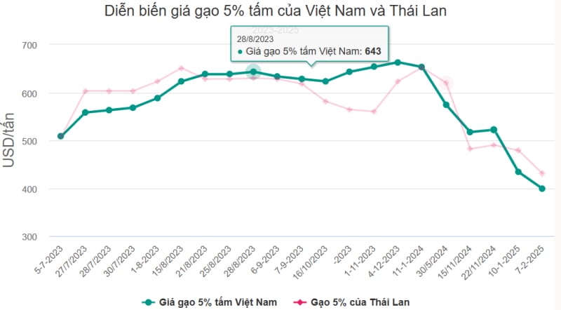 VFA dự báo xuất khẩu gạo năm 2025 sẽ gặp khó khăn, có thể chỉ đạt 7,5 triệu tấn, giảm so với mức kỷ lục hơn 9 triệu tấn năm 2024. Ảnh: TL.