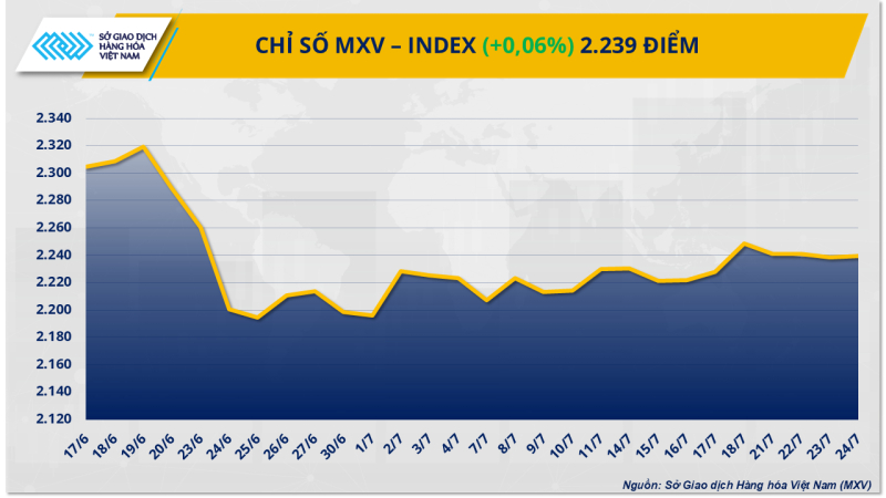 MXV-Index-250725