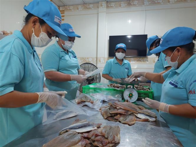 Vĩnh Long tập trung nâng cao chất lượng sản phẩm OCOP. Ảnh: Chương Đài/TTXVN