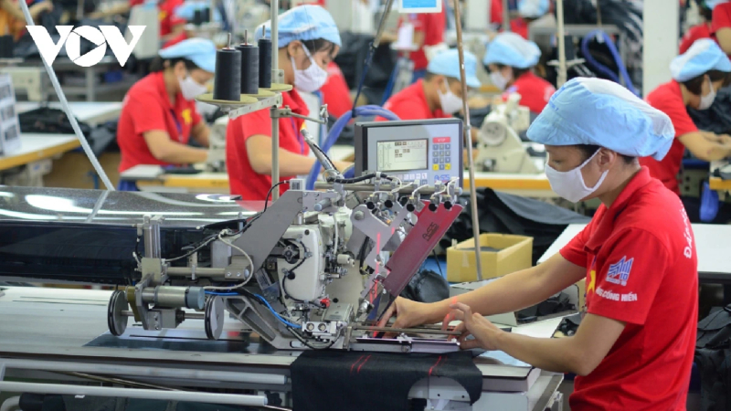 Nhiều mặt hàng xuất khẩu của Việt Nam có khả năng giảm tính cạnh tranh sau mức thuế đối ứng