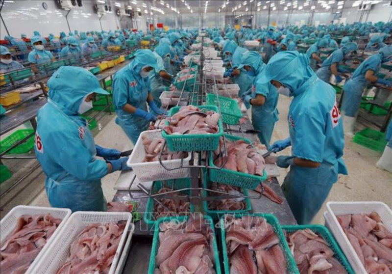 Thủy sản là một trong những mặt hàng xuất khẩu chủ lực. Ảnh: Vũ Sinh/TTXVN