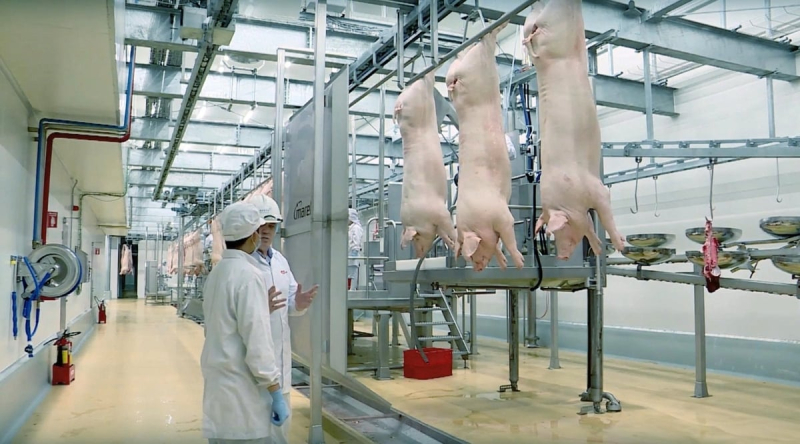 Dây chuyền sản xuất thịt ủ mát chuẩn Âu tại tổ hợp chế biến thịt MEATDeli tại Hà Nam. - Ảnh: Internet