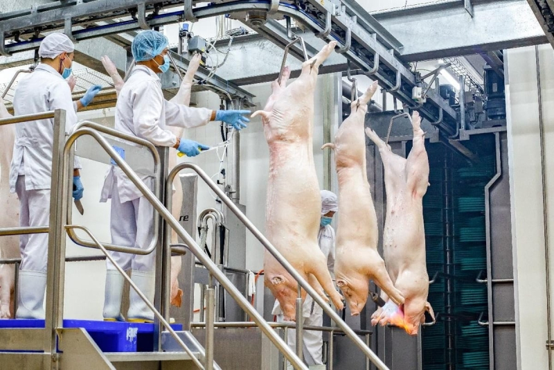 Công nghệ ủ mát tạo nên tiêu chuẩn thịt tươi ngon của người châu Âu.