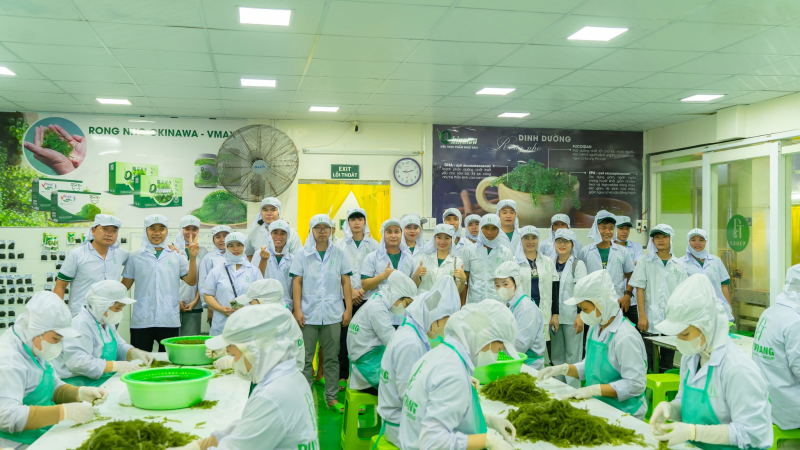 Nhà máy Rong Nho Okinawa luôn là điểm đến cú nhiều đoàn khách trong và ngoài nước đến tham quan, tìm hiểu quy trình sản xuất rong nho theo tiêu chuẩn Nhật Bản