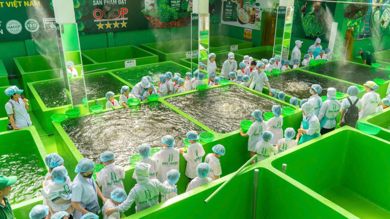 Tour trải nghiệm xanh tại Nhà máy Rong Nho Okinawa mang đến cho các bé những bài học bổ ích