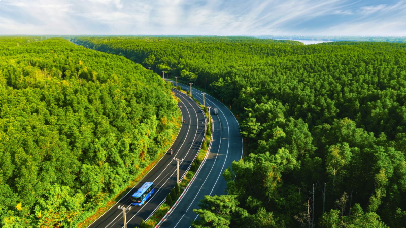 Cung đường chạy xanh thu hút hơn 50.000 vận động viên đăng ký tham gia VinExpress Marathon Green Paradise Cần Giờ  