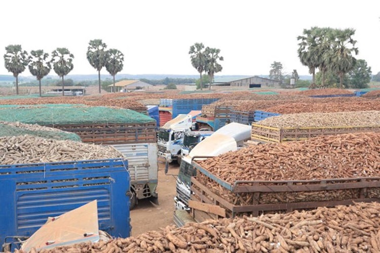 Nghị định 46 tạm hoãn phản ánh bài toán cân bằng giữa an toàn xã hội và ổn định kinh tế. Ảnh: Internet