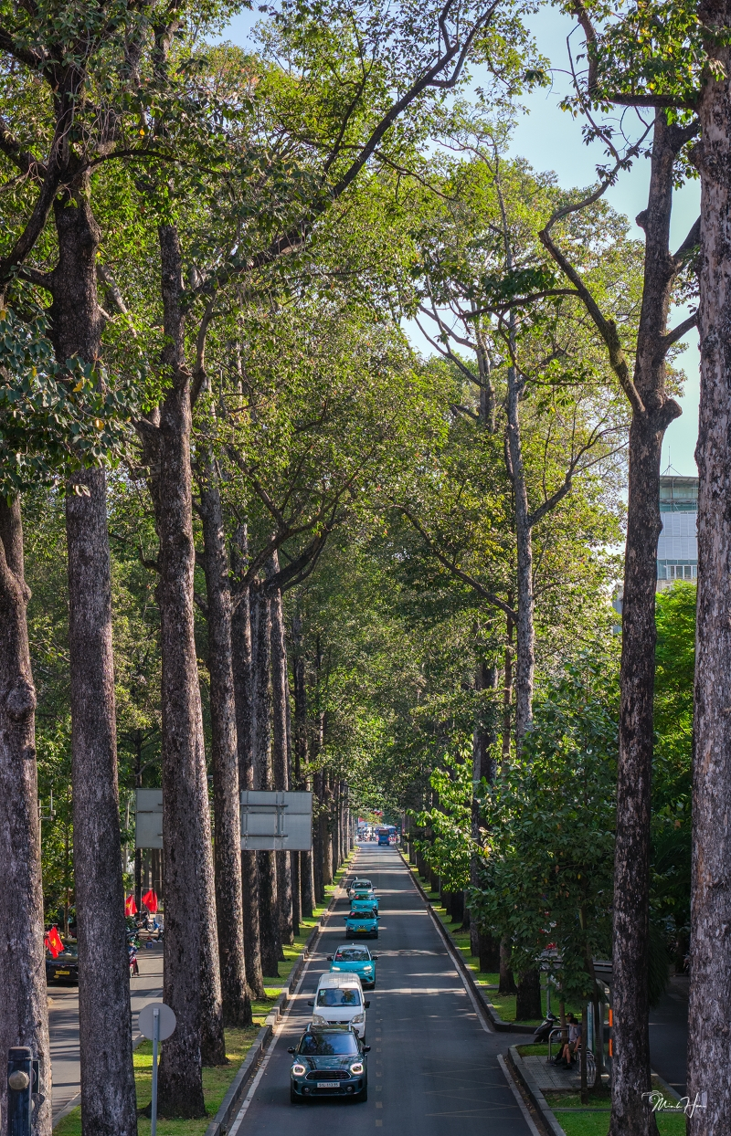 Đường Ngô Gia Tự