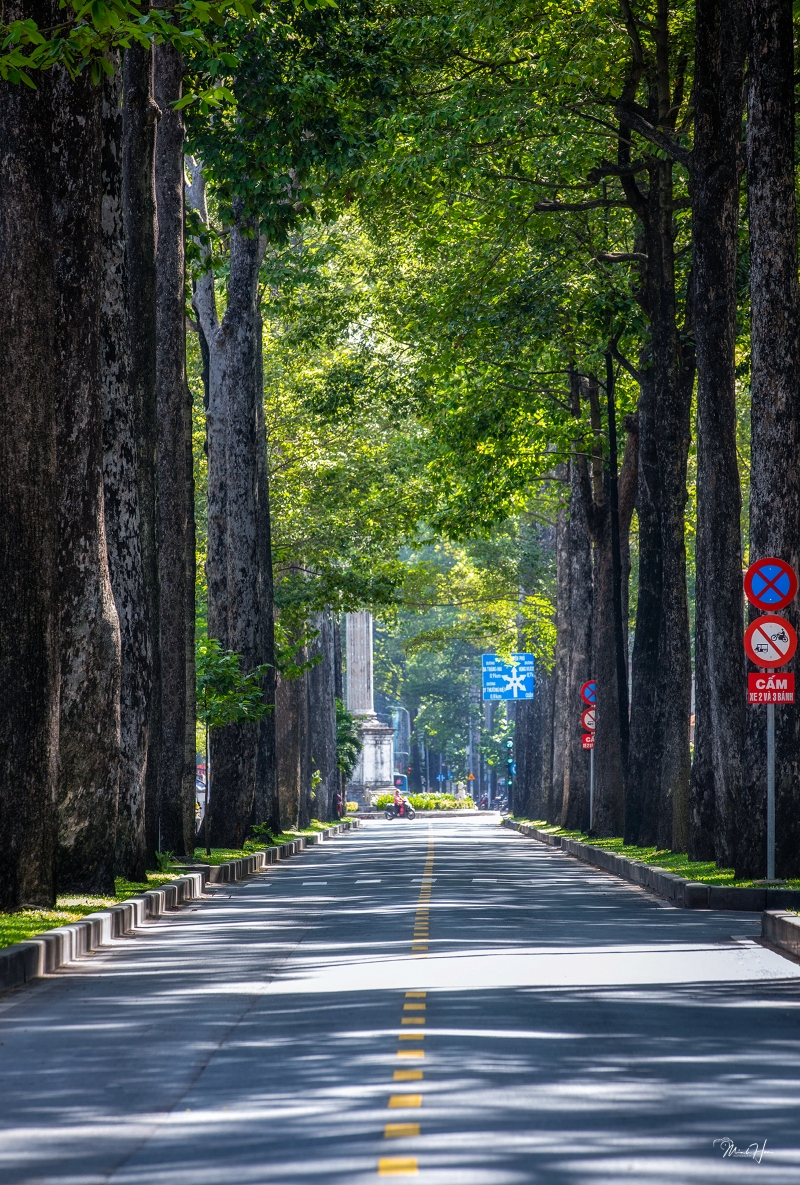 Đường Ngô Gia Tự